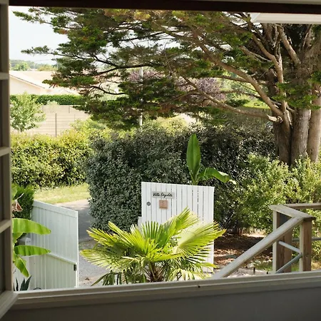 Oda ve Kahvaltı Sayulita Surfhouse *