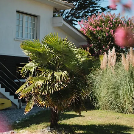 Sayulita Surfhouse Seignosse