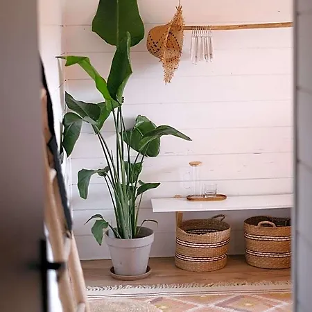 Couette-café Sayulita Surfhouse *