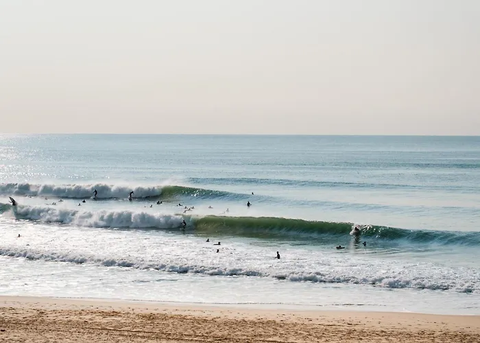 Sayulita Surfhouse * Seignosse