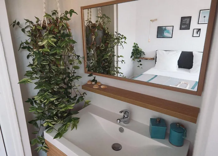 Oda ve Kahvaltı Sayulita Surfhouse Seignosse