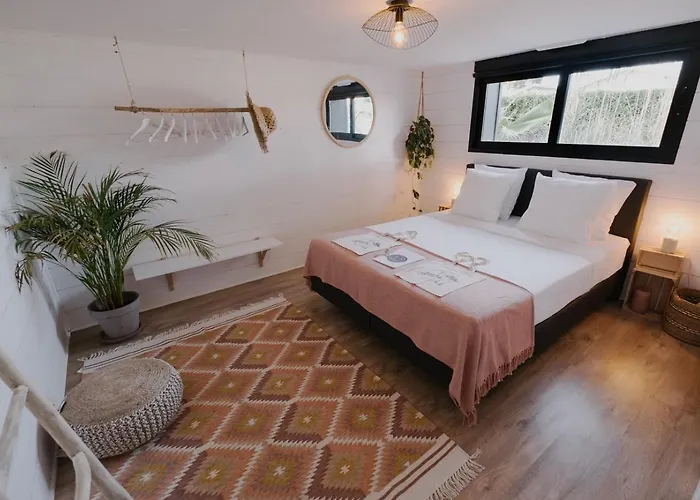 Sayulita Surfhouse Oda ve Kahvaltı