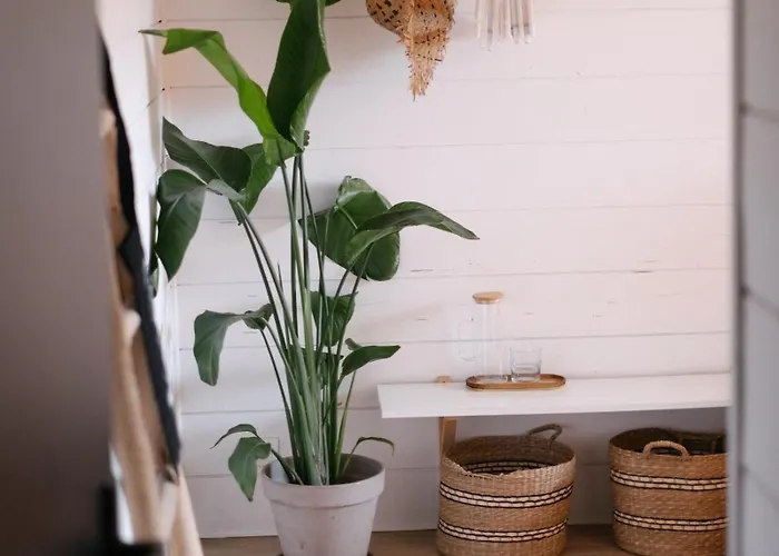 Oda ve Kahvaltı Sayulita Surfhouse Seignosse